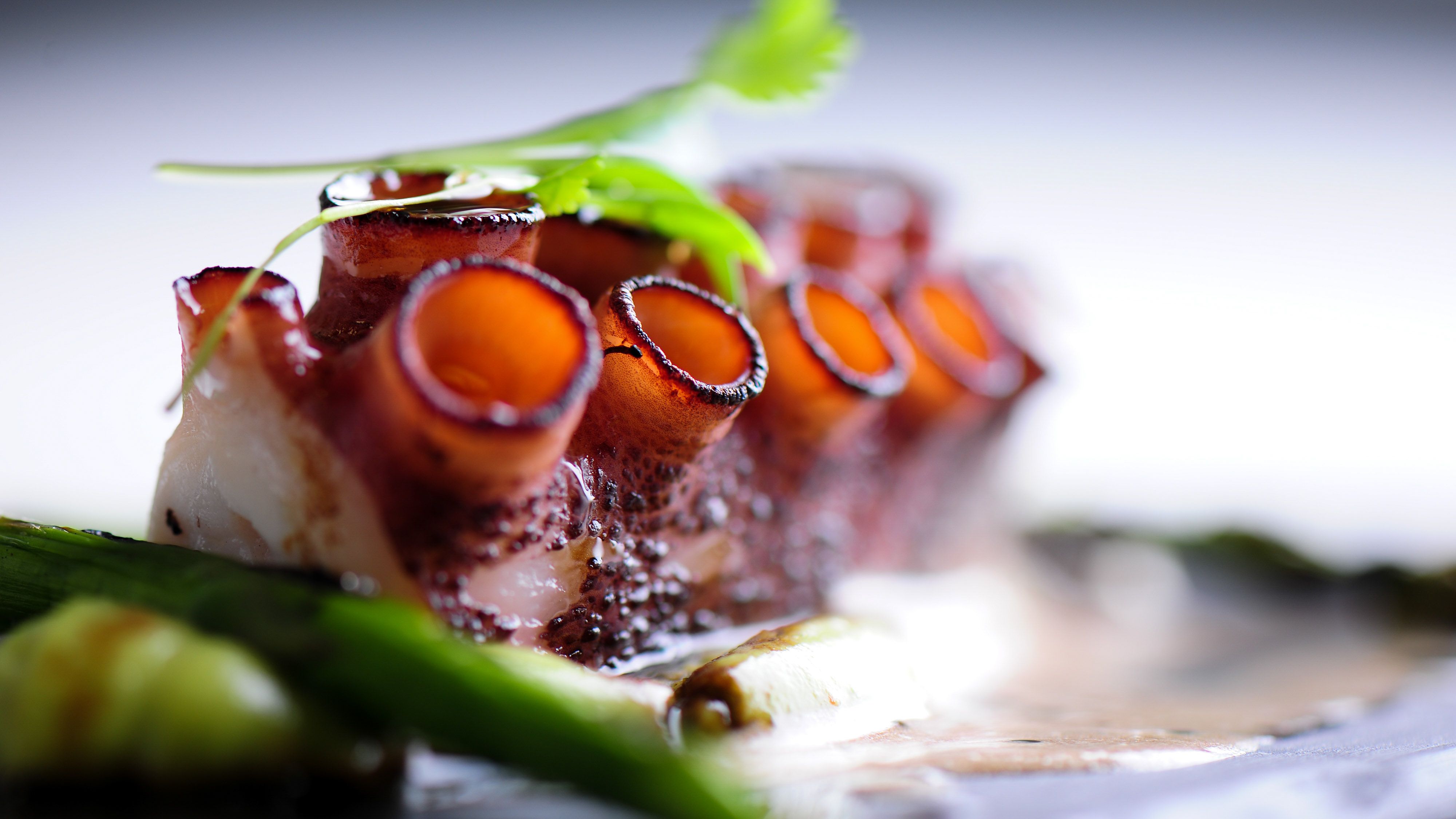Chef Daniel Estriga - Polvo