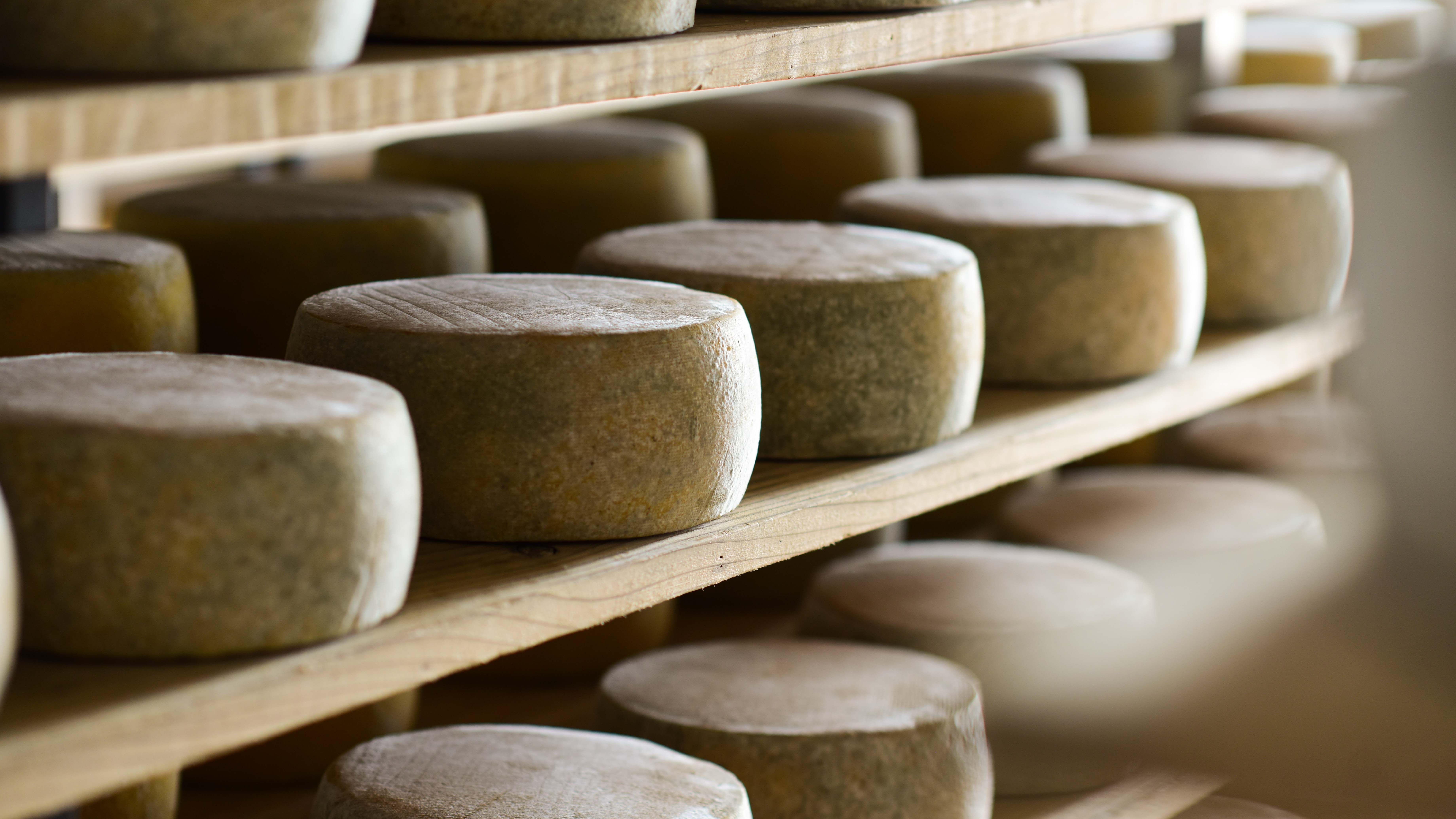 Fábrica de Queijo - Ilha São Jorge