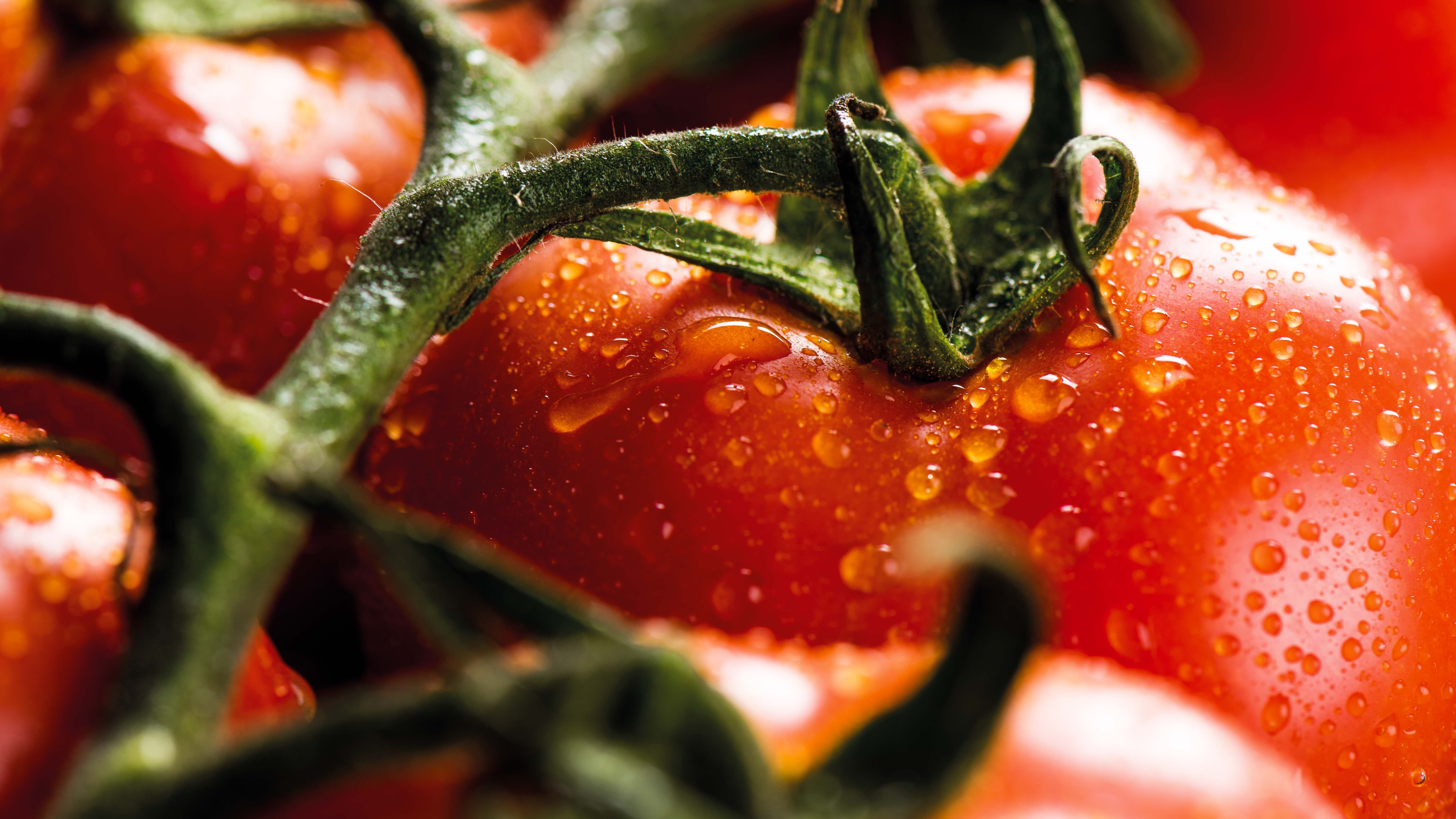Detalhe Tomate