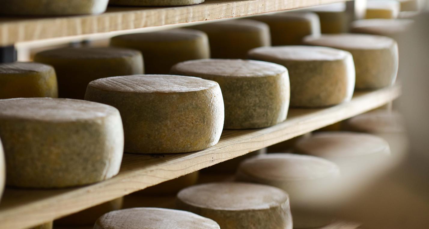 Fábrica de Queijo - Ilha São Jorge
