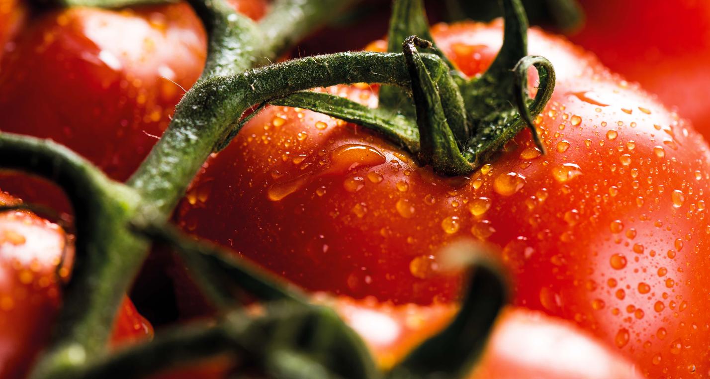 Alimentação - Tomate